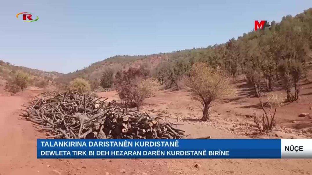 Dewleta Tirk bi deh hezaran darên Kurdistanê birîne