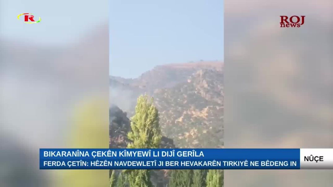 Ferda Çetîn: Hêzên navdewletî ji ber hevakarên Tirkiyê ne bêdeng in