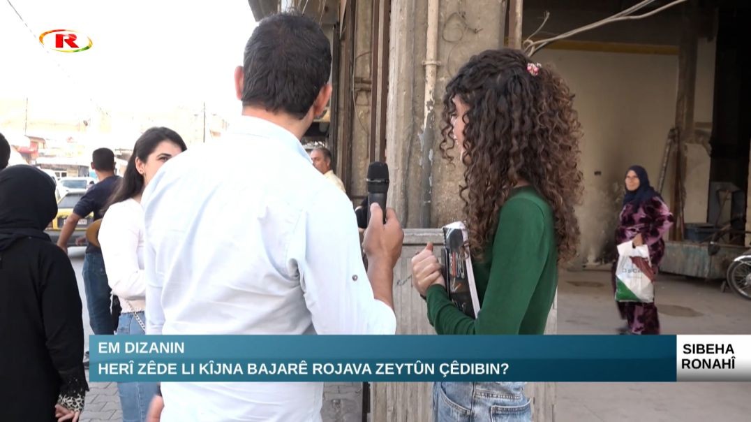 ?Herî zêde li kîjna bajarê Rojava zeytûn çêdibin