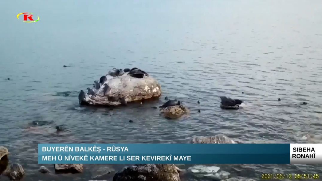 ⁣Buyerên Balkêş