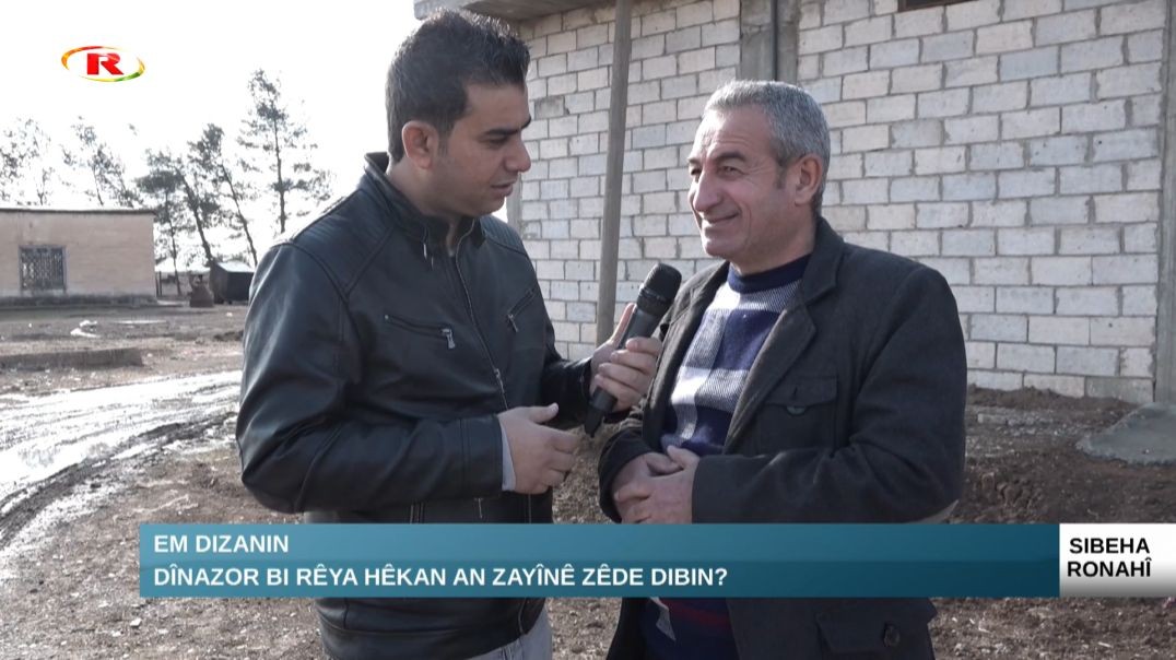 ⁣Em Dizanin..Dînazor bi rêya hêkan an zayînê zêde dibin?