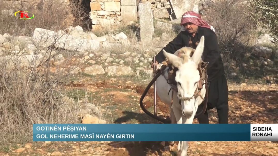 Gotinên Pêşiyan..Gol neherime masî nayên girtin