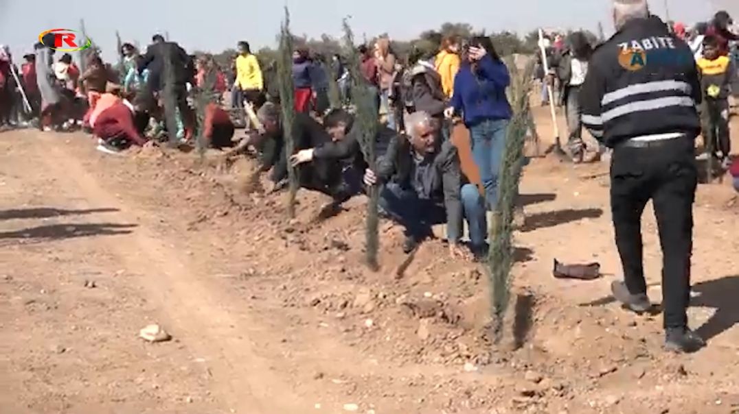 Li Bendava Mizgeftê ya Tirbespiyê wê 3 hezar dar werin çandin