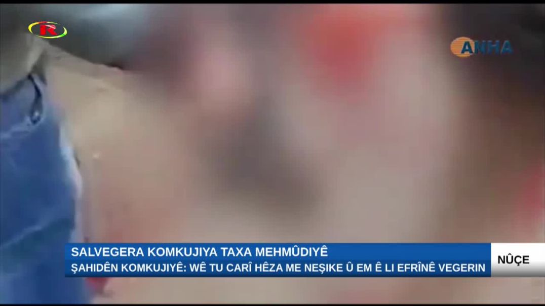 ⁣Salvegera komkujiya taxa Mehmûdiyê