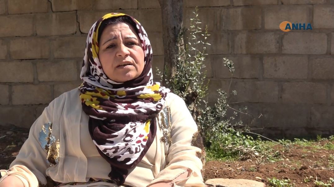 'Bi saya fedekariya 12 hezar şehîd û Rêber Ocalan Kurd Newrozê pîroz dikin'