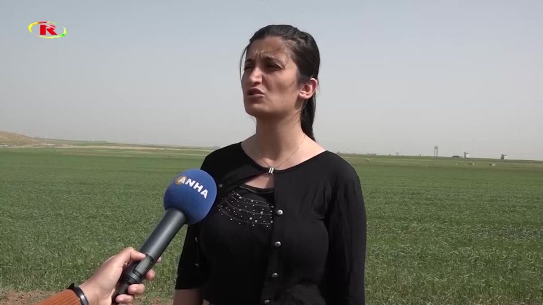 Şêniyên Rojava: Li hemberî gendeliyê derkevin