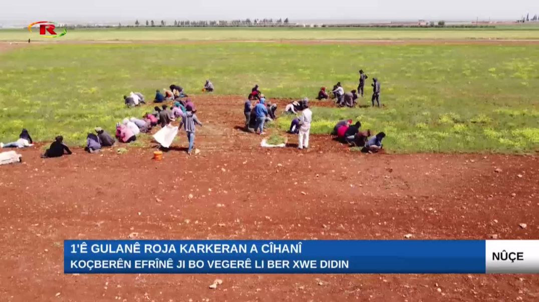 ⁣⁣Koçberên Efrînê ji bo vegerê li ber xwe didin-Rapor: Ciwan Mistefa