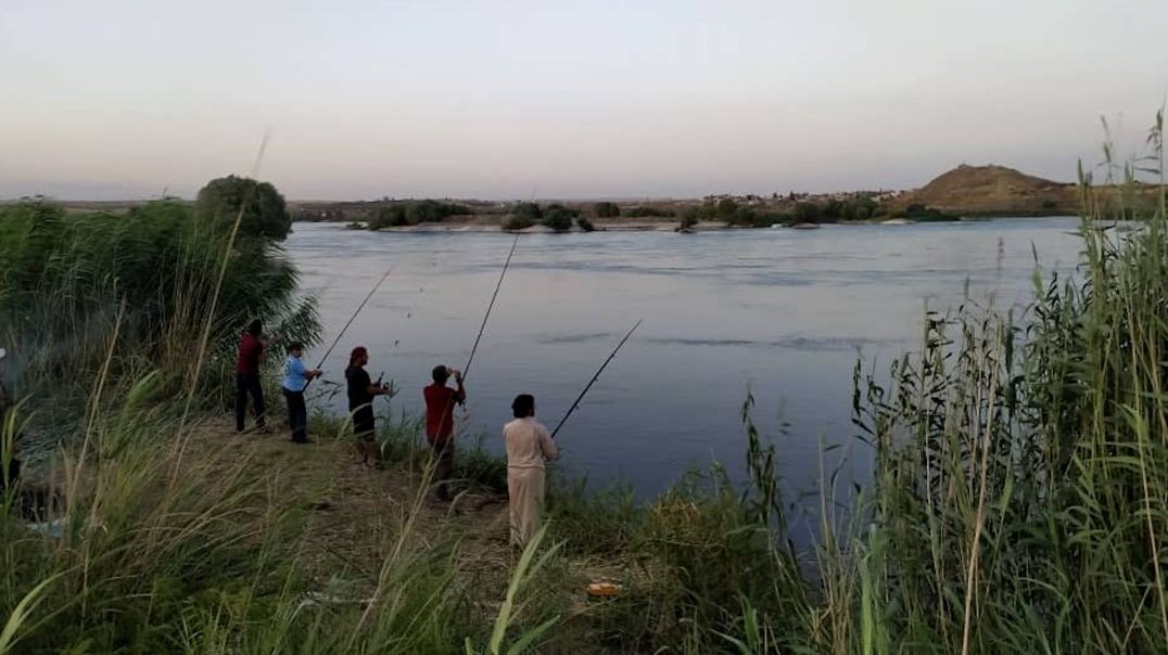 لحمياتها من النفوق بسبب حسر الاحتلال التركي لمياه الفرات إنشاء أكبر مشروع لتفريخ الأسماك بالرقة