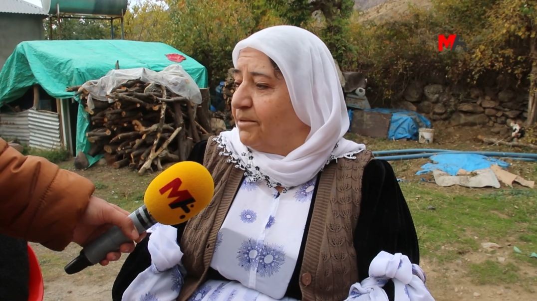 ⁣Dayikên Şirnexê: Dem dema xwedîderketina li Rojava ye