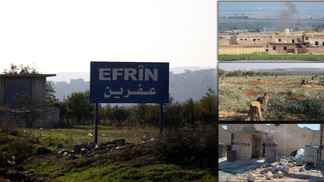 ⁣Dagirkeran qirkirina Kurd û jinan li Efrînê pêk anî