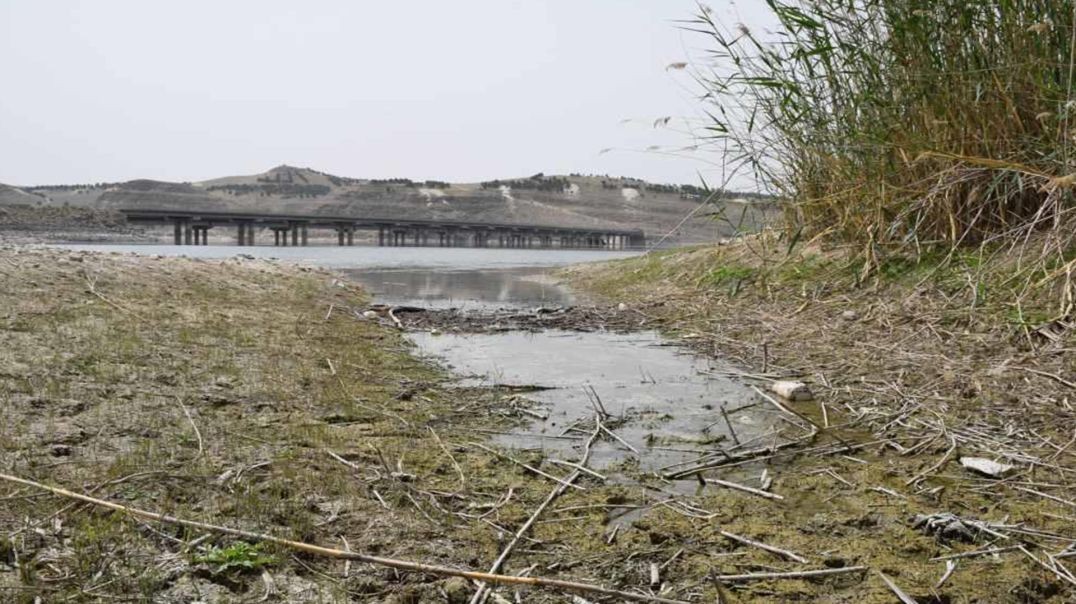 ⁣أهالي منبج: قطع مياه نهر الفرات سياسة قذرة يهدف بها الاحتلال التركي لإبادة الشعوب