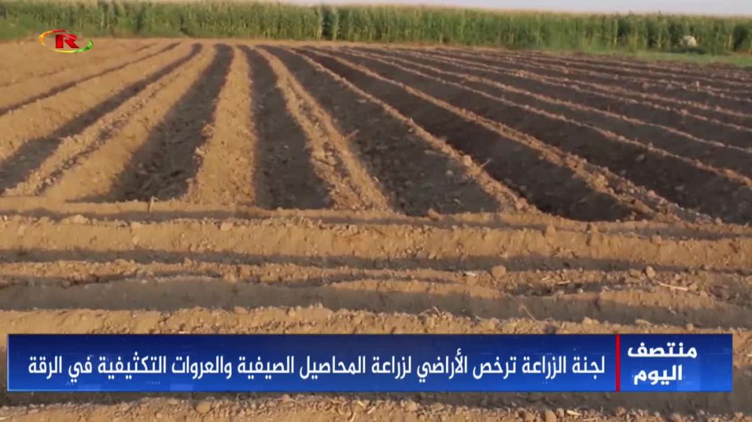 ⁣لجنة الزراعة ترخص الأراضي لزراعة المحاصيل الصيفية والعروات التكثيفية في الرقة - تقرير: محمد خليل