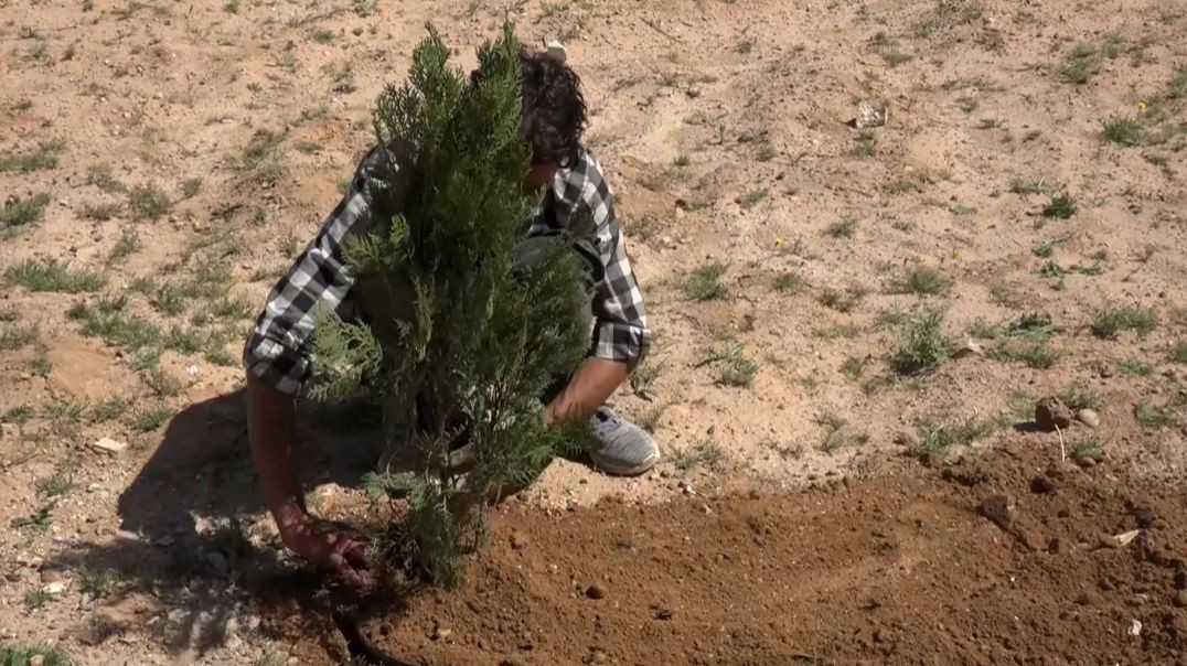 في يوم ميلاد القائد عبد الله أوجلان.. حملة تشجير في ريف دير الزور الشرقي-تقرير: طلحت اسماعيل