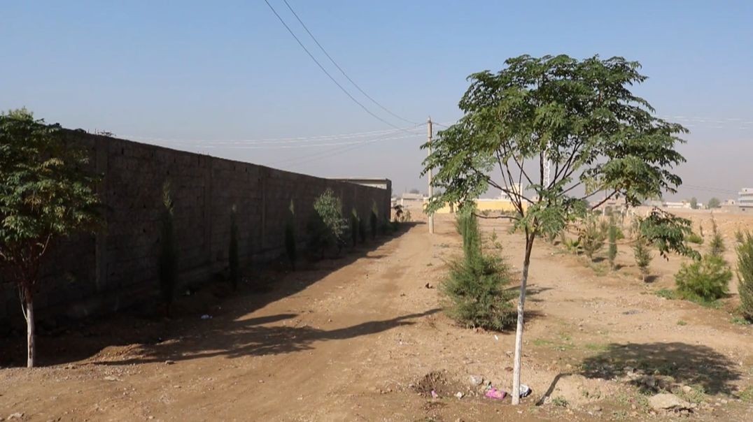 ⁣أهالي دير الزور يشتكون من قلة الحدائق والمساحات الخضراء في المنطقة-تقرير: زهرة الصالح