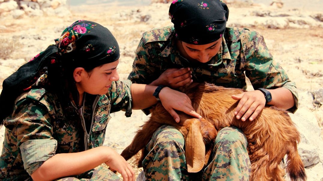 ⁣DOSYA - Şehîden meha Adarê yen Efrînê