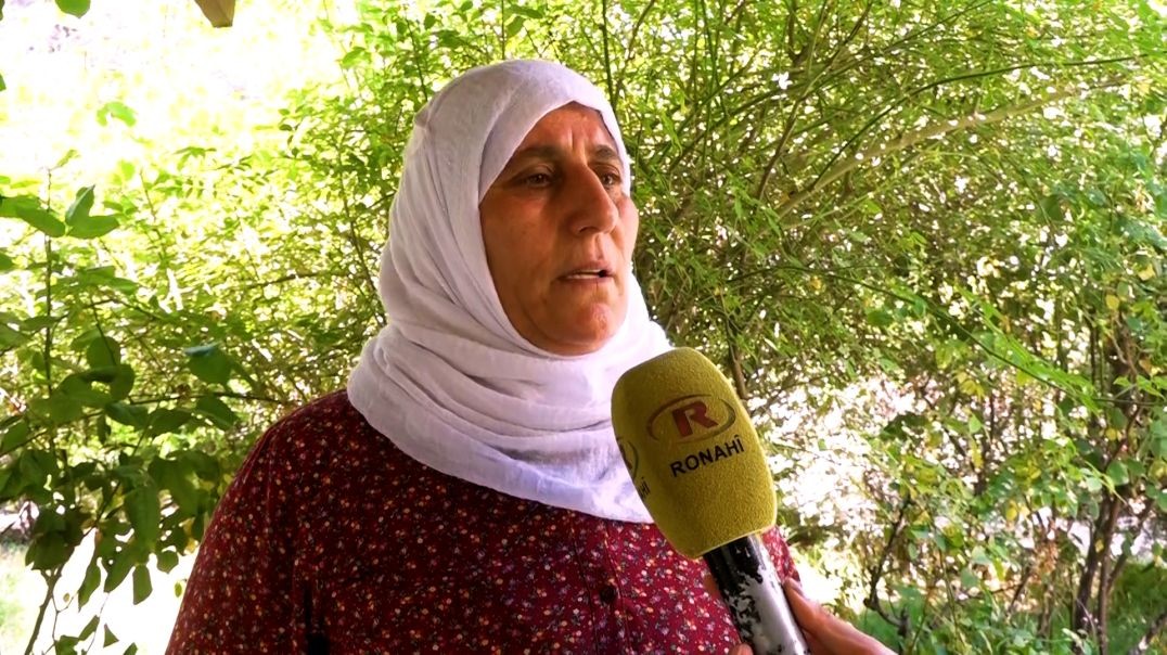 ⁣DOSYA - Şêniyên Kobanê: Dewleta Tirk zagonên aştiyê pêk nayne