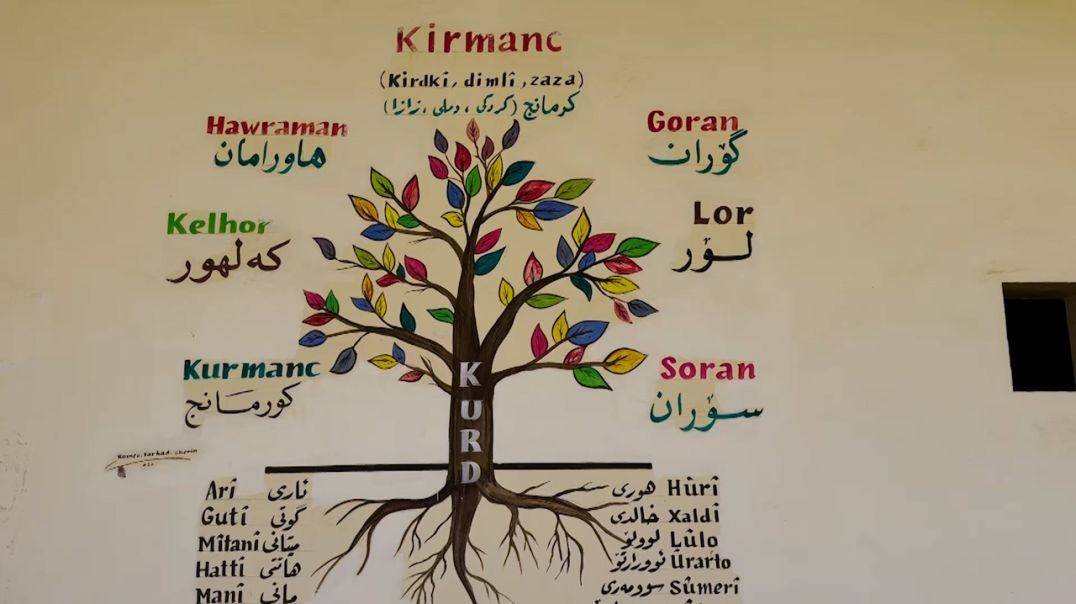 ⁣DOSYA - Pêşketina Zimanê Kurdî - 14 - 5 - 2025