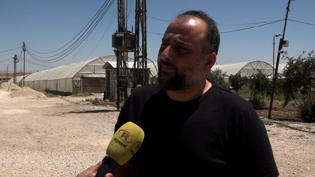 ملف - الخضروات الموسمية تزين الحقول في تربسبية وتبشر بمحصول وفير