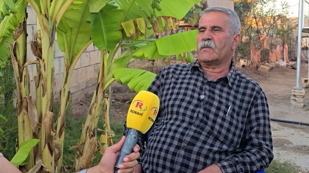 ⁣DOSYA - Şêniyên Dêrikê: Ehmed Şeri berdefkê dewlata Tirk e