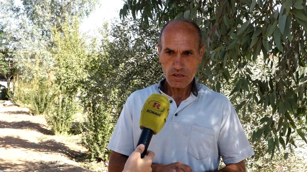 ⁣DOSYA - Şêniyên Til Marûf: QSD'ê hêza me ya parastinê ye