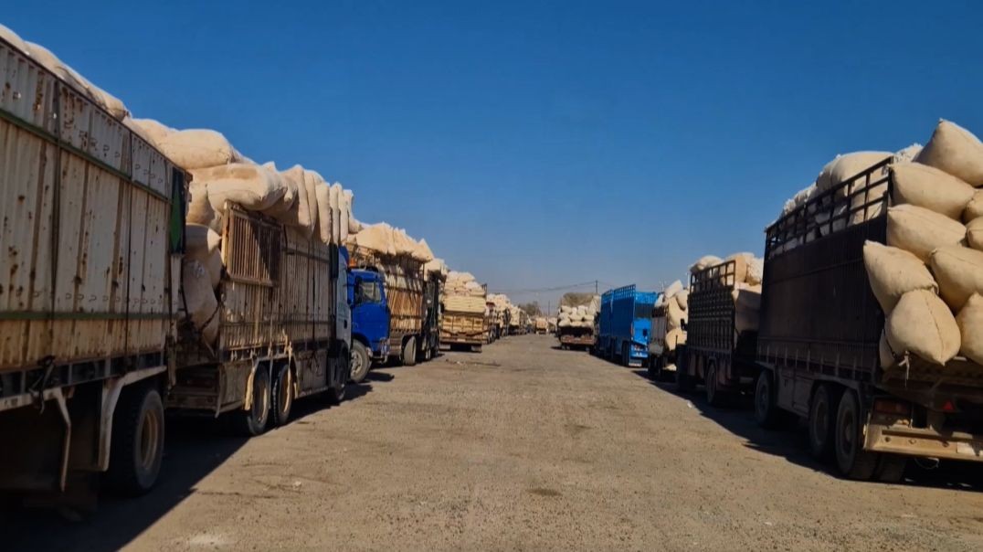 ⁣Berhevdana pembo li herêmê di rojên xwe yên dawî de ye - Rapor: Mihemed Badilî