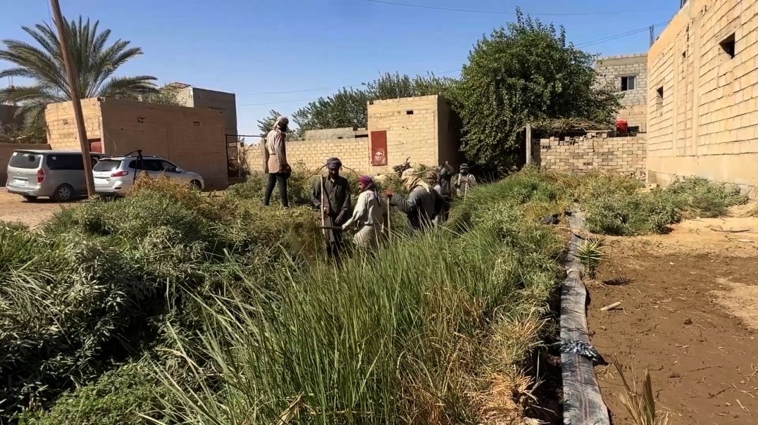 ⁣ملف - مبادرة تطوعية في ريف دير الزور لتأهيل الطرق الزراعية استعداداً للموسم الشتوي