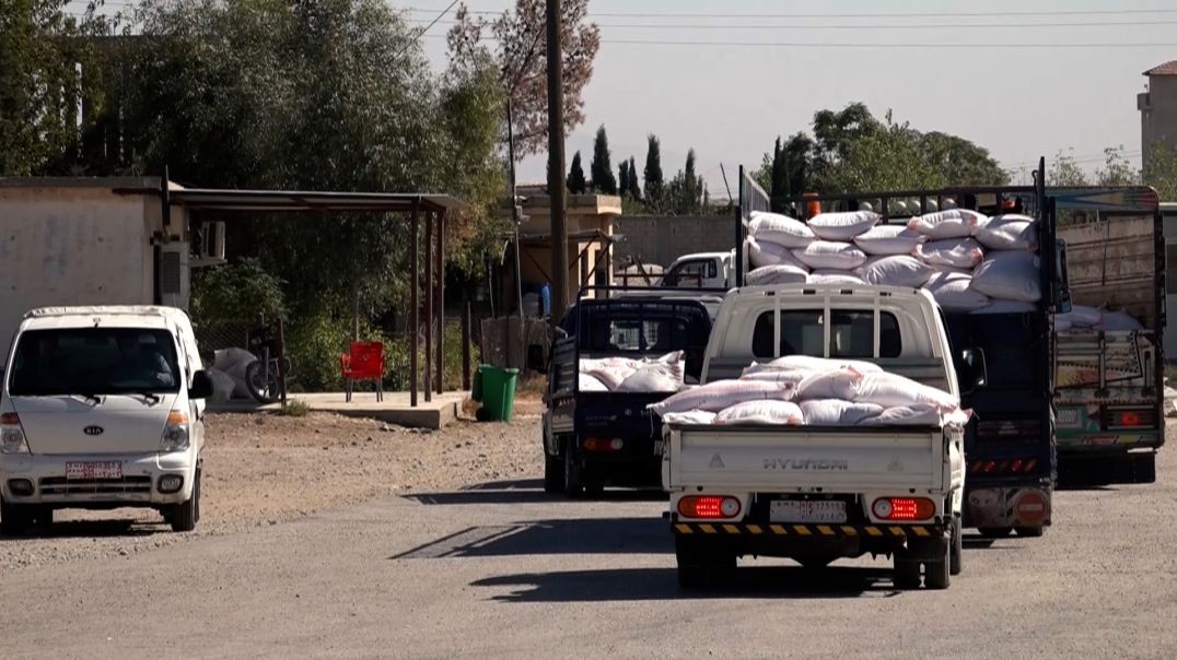 Desteya Çandinî û avdaniyê li bajarê Dêrikê tov li cotkaran belav dike Rapor: Diyar Hesam
