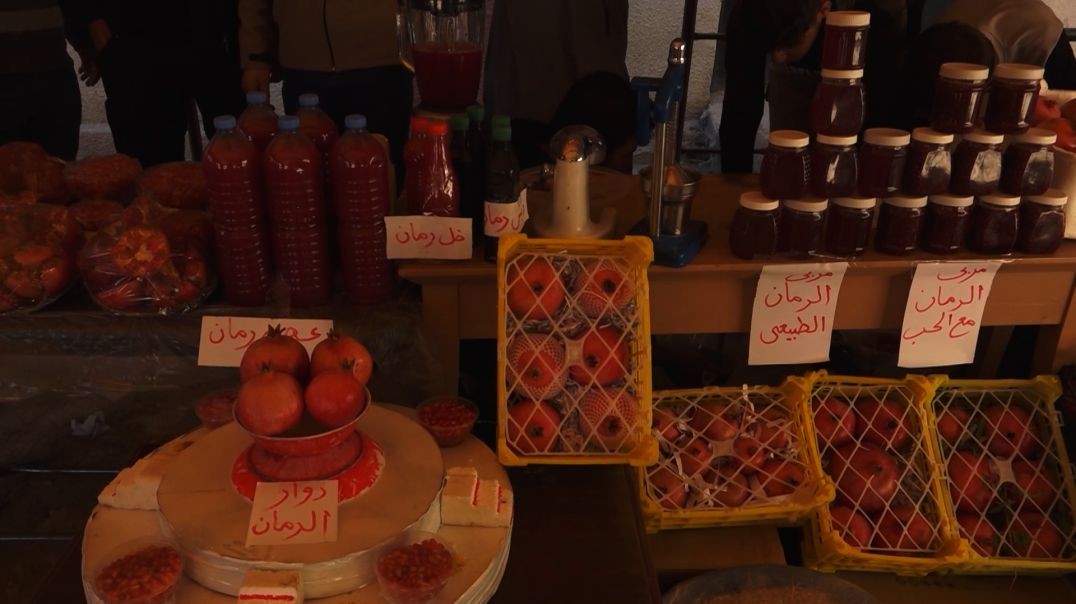 ⁣تحديات زراعة الرمان في بلدة السوسة وسط مطالبات بزيادة الدعم - تقرير: خديجة العبدالله