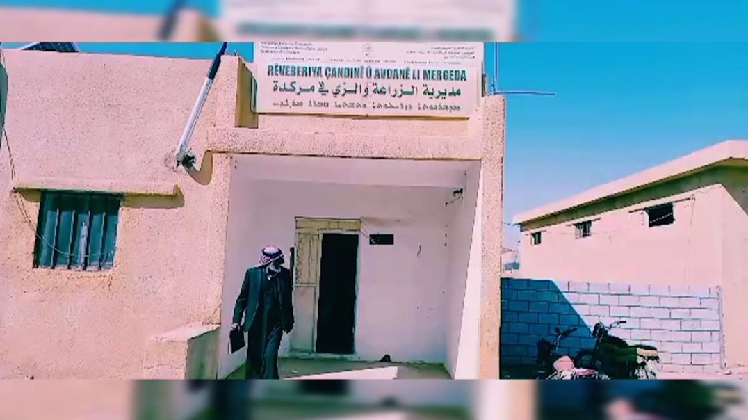 لتخفيف أعباء السفر... مزارعو مركدة يطالبون بإنشاء مركز للبذار وتأمين المازوت - تقرير: قحطان صليبي