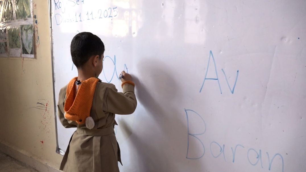 ⁣DOSYA - Perwerda Zimanê Kurdî