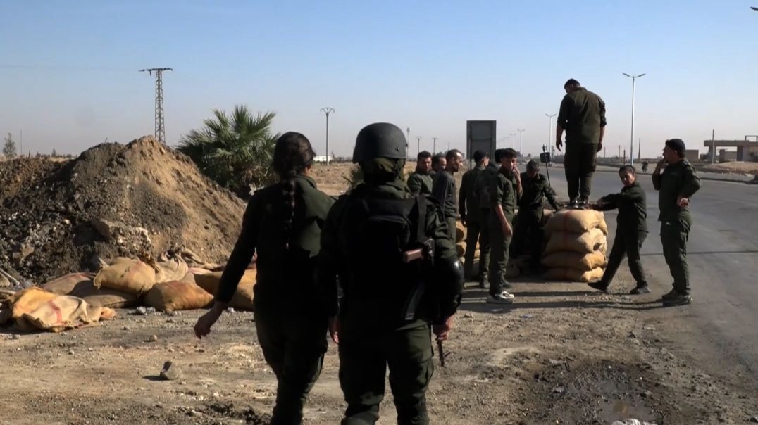 قوى الأمن الداخلي تطلق حملة تشجير في محيط حواجز مقاطعة الطبقة - تقرير: هبة فتيح