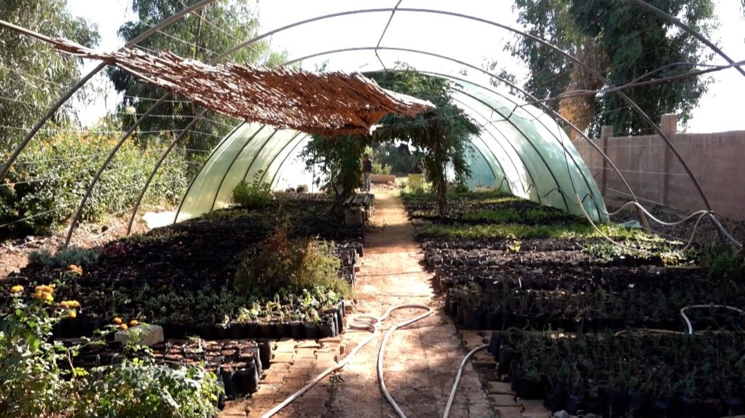 ⁣بلدية الشعب في الرقة تطلق خطتها الشتوية الهادفة لتأهيل الحدائق العامة تقرير: محمد خليل