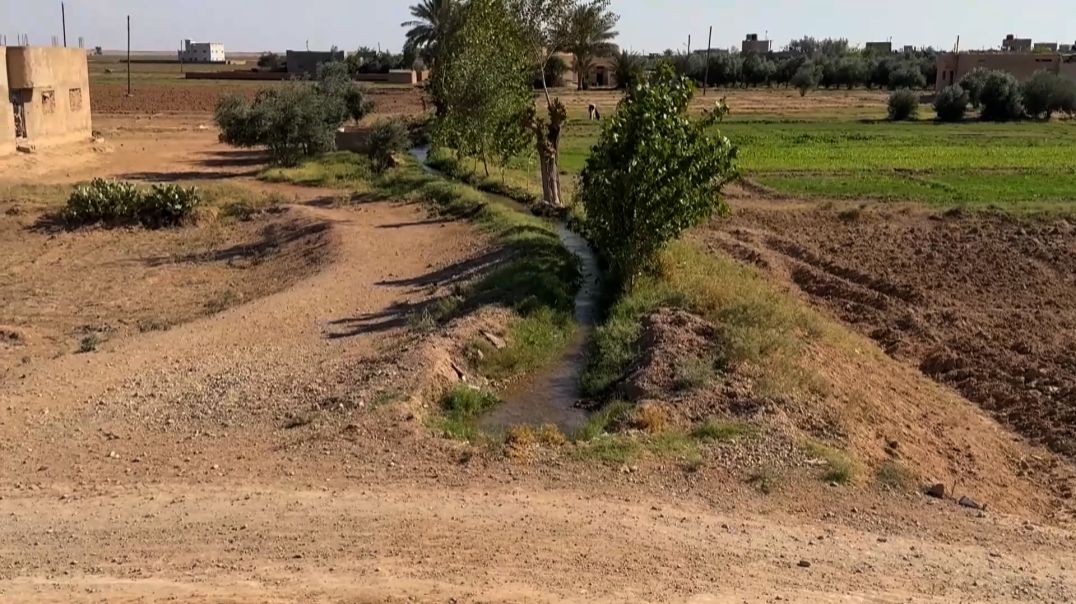 مزارعو ريف ديرالزور الشرقي يشرعون بزراعة القمح والشعير  تقرير : قاسم الحردان