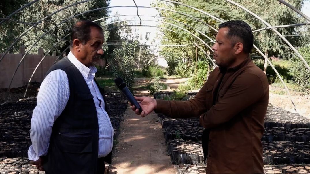 ⁣أضاءات - 29 - 11 - 2025