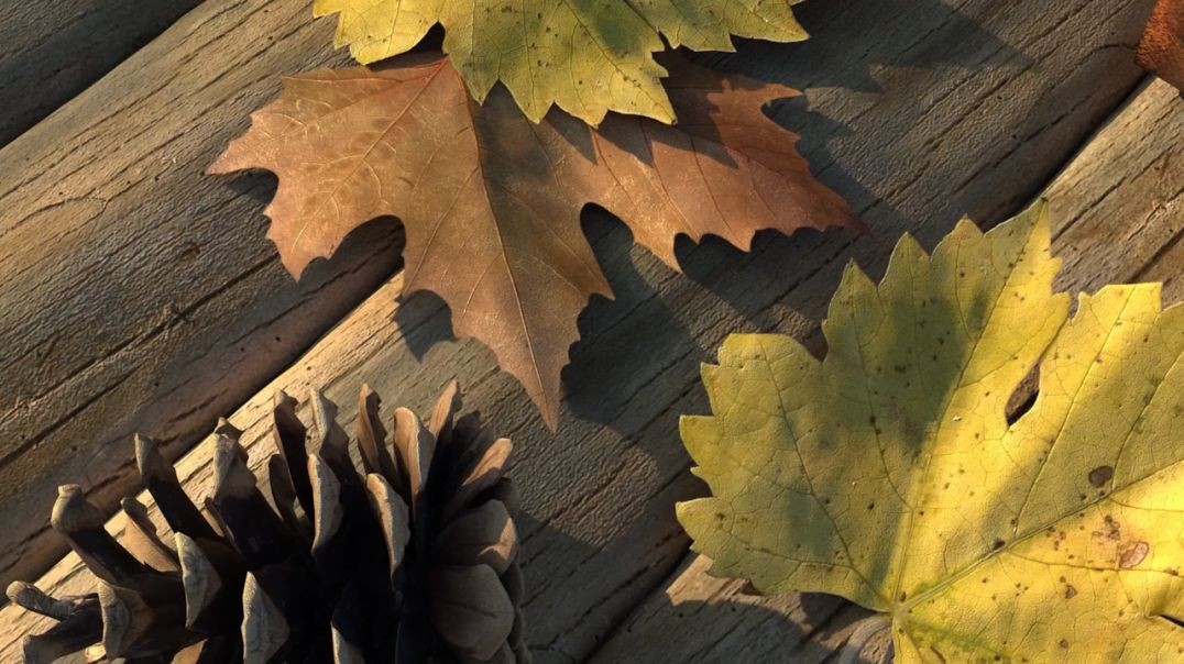 CANGORIYÊN AZADIYÊ-KURDÎ-(ŞEHÎD BAHOZ KOBANÊ)