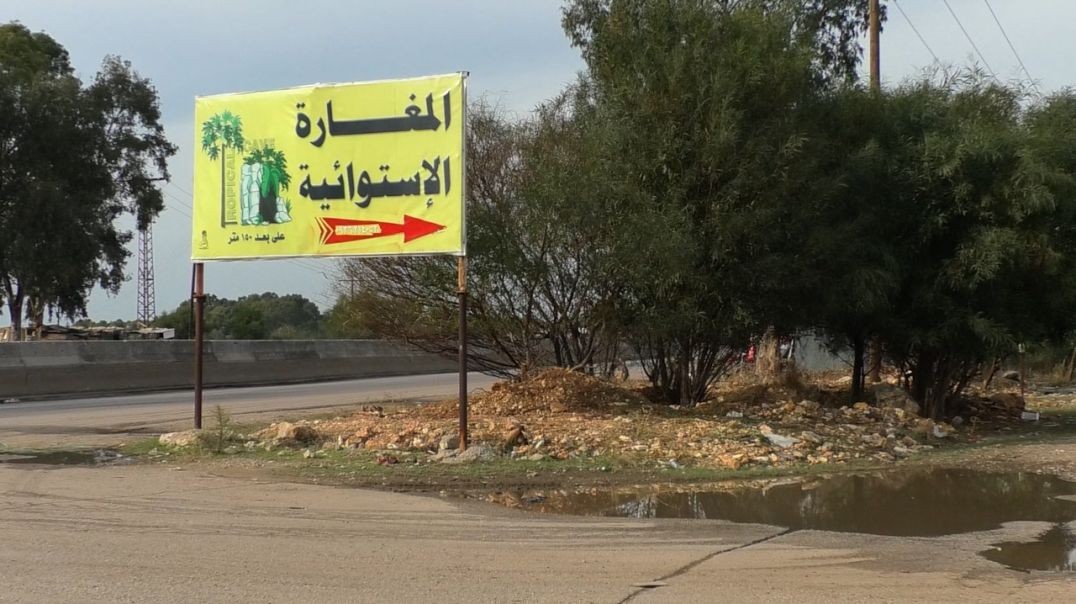 ⁣وثائقي-الغابة الإستوائية في طرطوس- 14 - 12 - 2025