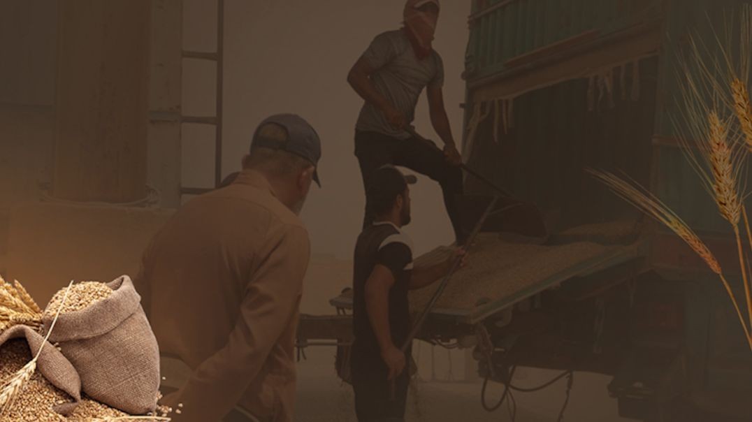 ⁣Cotkarên Qamişlo dest bi çandinê kirin