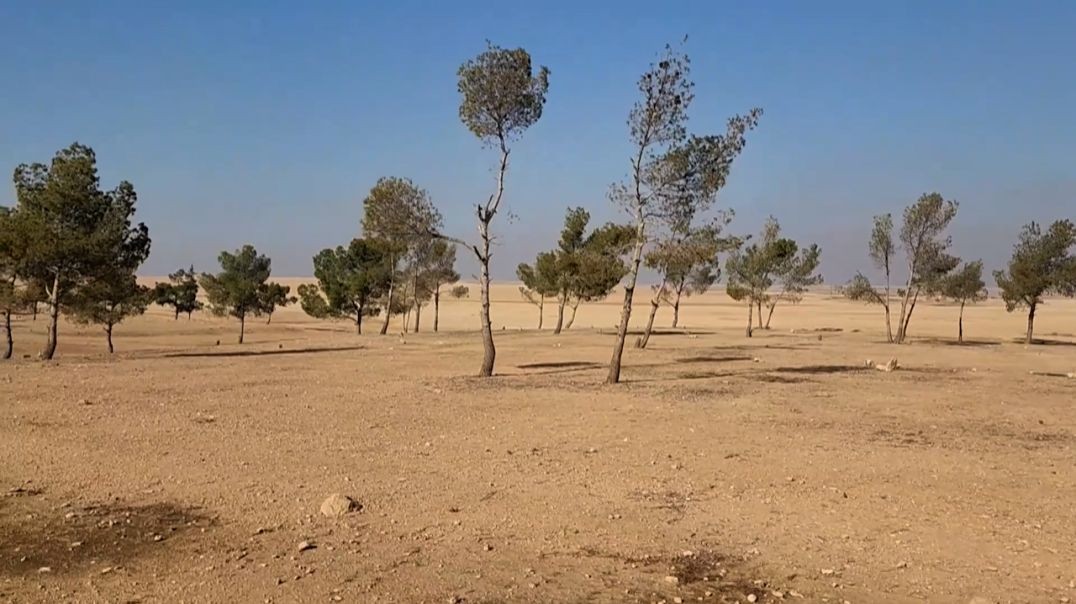 ⁣لحماية الطبيعة وتوسيع المساحات الخضراء... إطلاق مشروع تشجير في جبل كزوان-تقرير: سليمان الطويل
