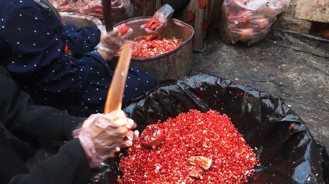 ⁣ملف - أهالي السوسة بدير الزور: صناعة دبس الرمان وعصيره موروث اجتماعي واقتصادي