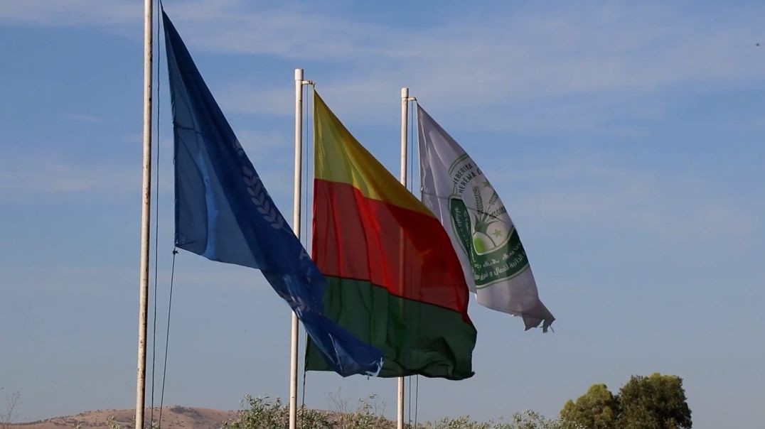 ⁣ملف - الدبلوماسية في شمال وشرق سوريا