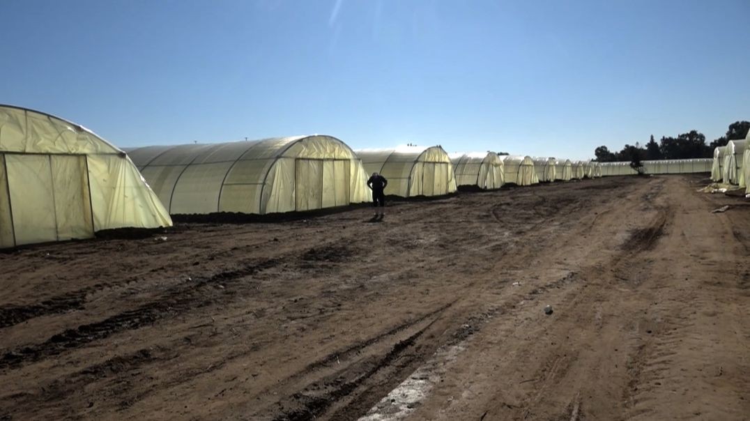 ⁣لدعم الإنتاج الزراعي..مشروع إنشاء 100 بيت بلاستيكي في مدينة المنصورة بالطبقة - تقرير: هبة فتيح