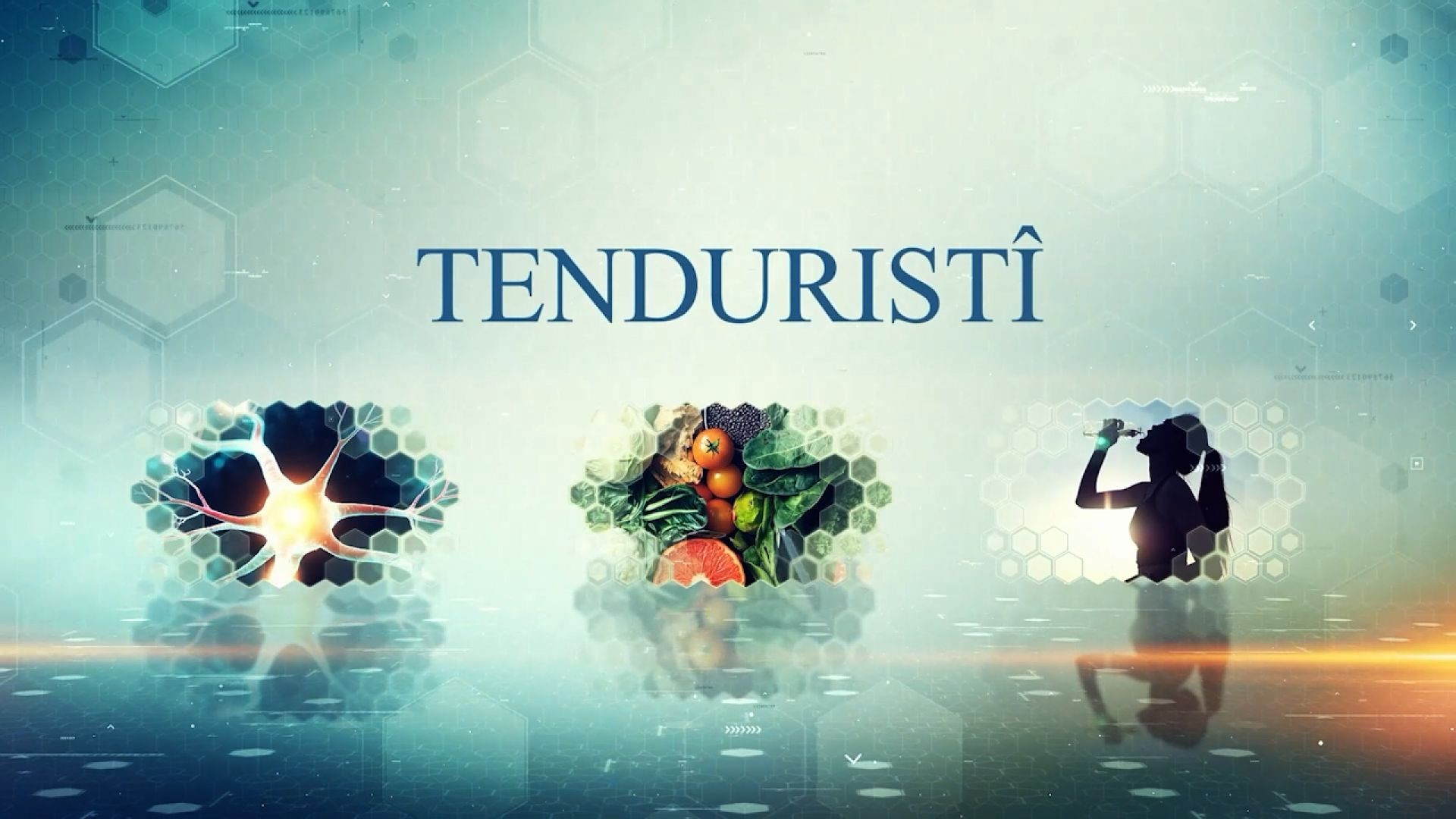 ⁣TENDURÎSTÎ - 1 - 1 - 2026